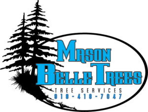 Mason Belle Trees Logo